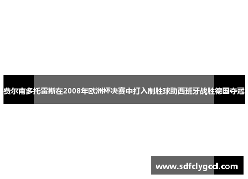 费尔南多托雷斯在2008年欧洲杯决赛中打入制胜球助西班牙战胜德国夺冠