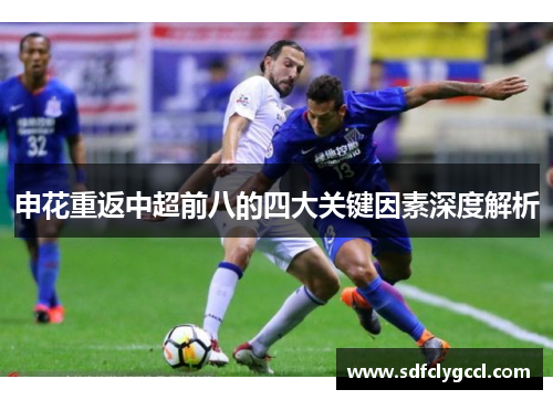 申花重返中超前八的四大关键因素深度解析