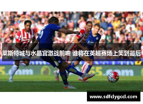 莱斯特城与水晶宫激战前瞻 谁将在英超赛场上笑到最后