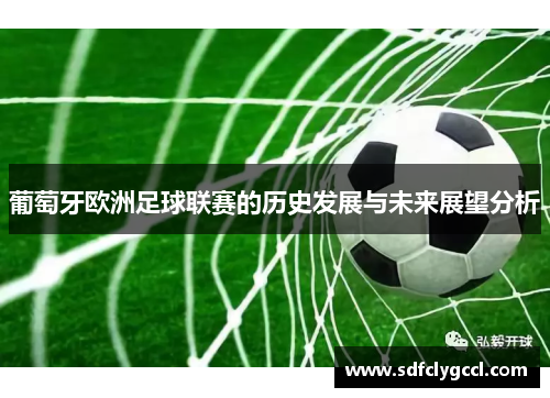 葡萄牙欧洲足球联赛的历史发展与未来展望分析