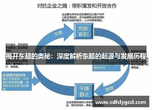 揭开东超的奥秘：深度解析东超的起源与发展历程