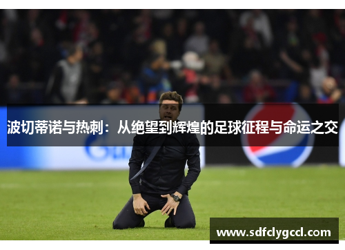 波切蒂诺与热刺：从绝望到辉煌的足球征程与命运之交