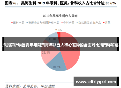 深度解析埃因青年与阿贾青年队五大核心差异的全面对比指南详解篇
